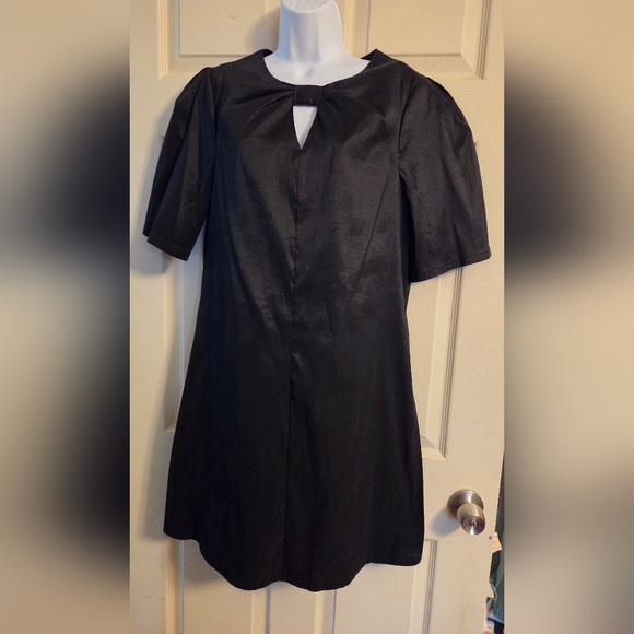 Preston & York Dresses & Skirts - Preston & York Black Sue Stretch Taffeta Dress Size 12 NWT